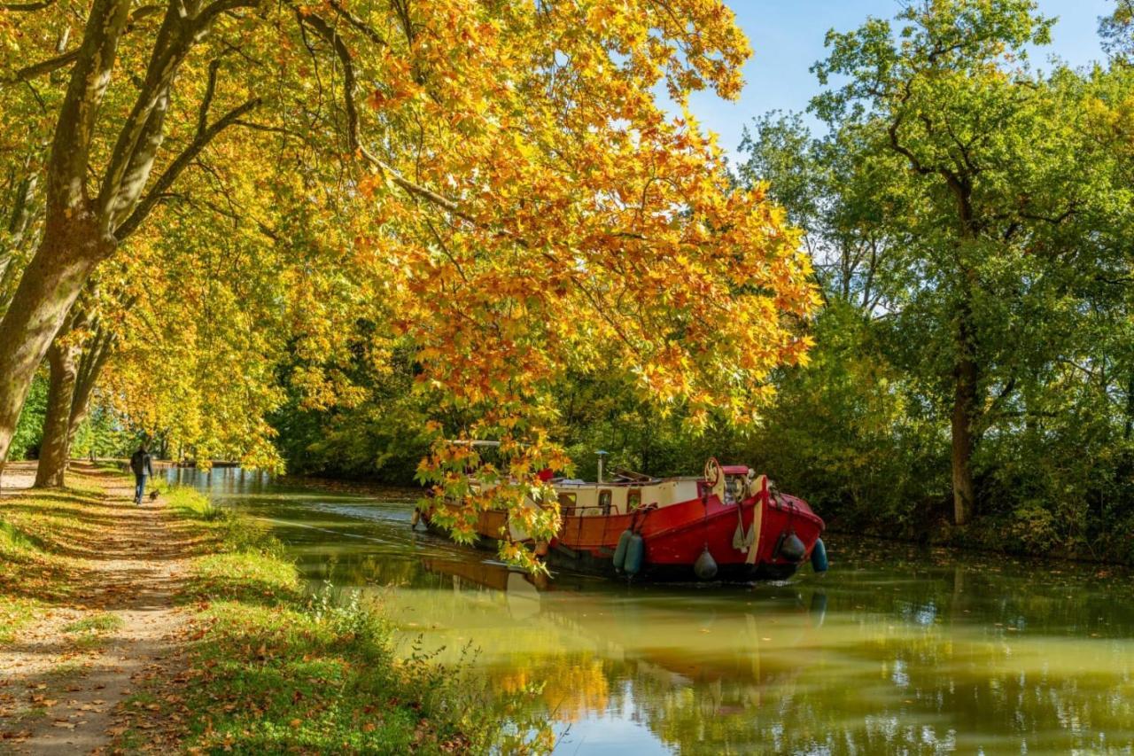 Le Dallas - 1 Chambre, 1 Canape-Lit, 1Er Etage, Parking, 10Min Canal Du Midi Castelsarrasin Buitenkant foto